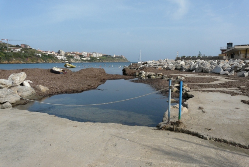 Rio Salivoli (Piombino) - rospi smeraldini in citt!